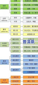 全面熟悉普洱茶的基本知识与技巧