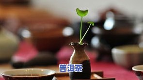 送领导茶叶几提合适-送领导茶叶送多少合适