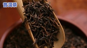 云茶库普洱茶熟茶价格及生茶、茶叶全面介绍