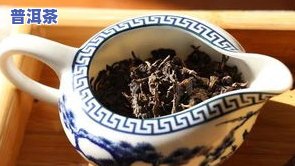 普洱茶名录：最新大全查询，尽在其中