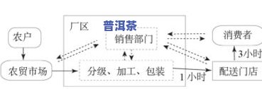 普洱茶筛分级别：详细划分标准与图示