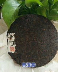 陈年干仓普洱茶云源号-云源号普洱茶价格