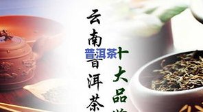 普洱茶名录-普洱茶名录