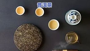 普洱茶冲泡期间的分茶器具及其名称