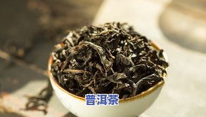 普洱茶绿岛-绿普洱茶价格及图片