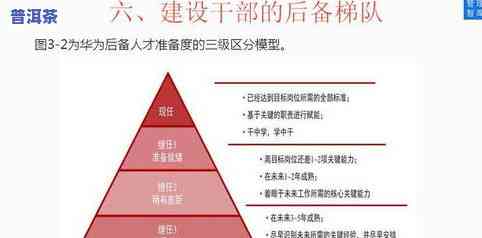 茶叶冷冻多少度合适保存？详细解析与建议