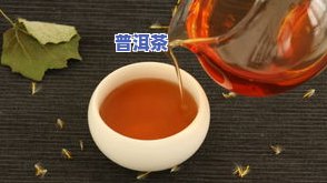 普洱茶里的毛絮状物质：来源、是不是正常及去除方法