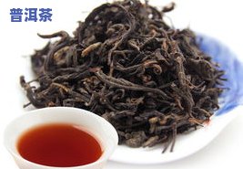 普洱茶毛细-普洱茶有绒毛