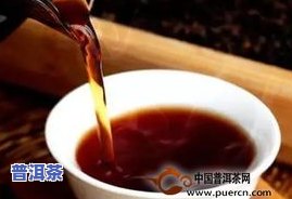 普洱茶会不会伤胃？探讨其对胃部的作用及可能的危害