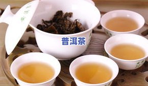 黄芪泡普洱茶可以吗？女性适合饮用，如何正确冲泡？