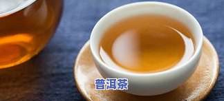 八马茶叶送的普洱茶：品质、价格与收藏价值全解析