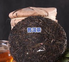 八马茶叶送的普洱茶：品质、价格与收藏价值全解析