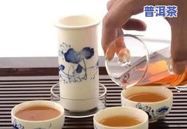 泡茶茶叶放多少合适一次性杯子？详细解析茶叶用量及冲泡方法