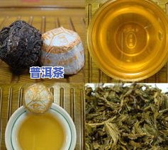 云南普洱茶产品卖点介绍图大全及视频