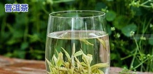 一般泡茶叶放多少：水量、茶叶量与枸杞比例的完美搭配