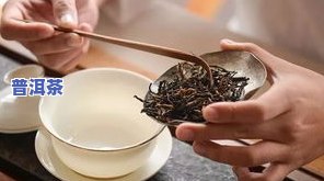 一般泡茶叶放多少：水量、茶叶量与枸杞比例的完美搭配