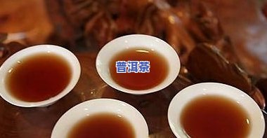 普洱茶买哪种好喝又健康？全面解析与推荐