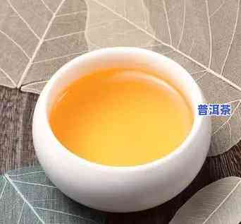 普洱茶里面棉絮是什么东西-普洱茶里面棉絮是什么东西啊