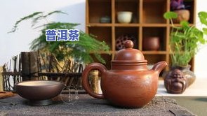 朱泥壶不适合泡熟普洱茶-朱泥壶不适合泡熟普洱茶吗