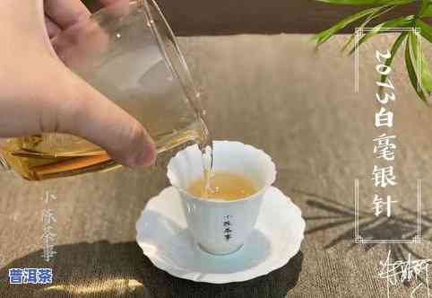 普洱茶茶语：探索其深刻含义与经典语录