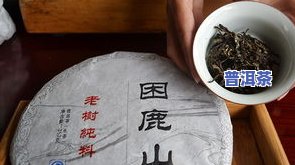 哪些地方喝普洱茶多一点-哪些地方喝普洱茶多一点呢