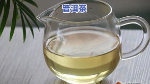 普洱茶兴趣-普洱茶爱好者