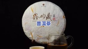 普洱茶兴趣-普洱茶爱好者