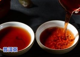 普洱茶兴趣-普洱茶爱好者