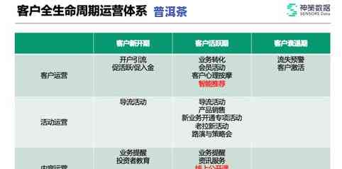 深入解析普洱茶的经营模式：策略、案例与未来趋势