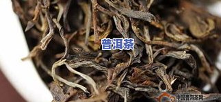 普洱茶介绍大全-普洱茶介绍大全特色