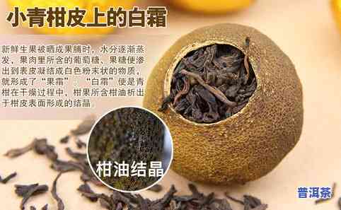 陕西小青柑普洱茶价格表-小青柑普洱茶价格一斤