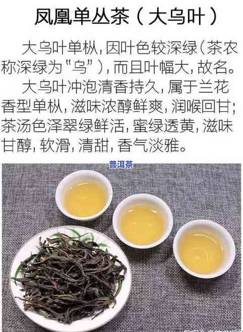 临沧雪芽普洱茶价格表图-临沧雪芽普洱茶价格表图片