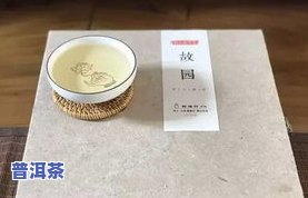 攸县普洱茶-普洱茶的六大茶山攸乐