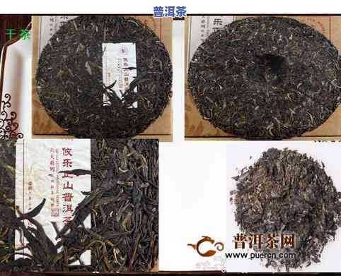 攸县普洱茶-普洱茶的六大茶山攸乐