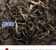 易武普洱茶怎么样？品质、口感、价格全面解析