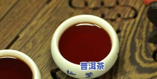 熟普洱茶更佳冲泡与饮用温度解析