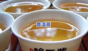 易武普洱茶怎么样？品质、口感、价格全面解析