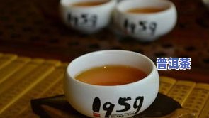 英德普洱茶：品种、图片与品质全解析