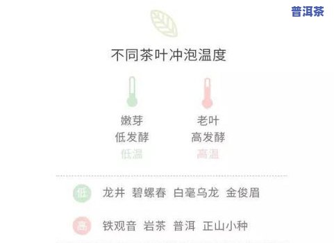 一泡茶叶能泡多久？更佳浸泡时间和次数解析