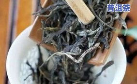 有年份的普洱茶，探寻岁月痕迹：品鉴有年份的普洱茶