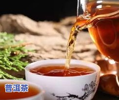 茶叶烘干温度多少合适？红茶烘干更佳温度与时间解析