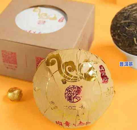 98年班章生态沱茶：茶王沱茶、班章普洱茶的产地与来历