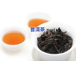 大红袍可以泡普洱茶吗-大红袍可以泡普洱茶吗百科