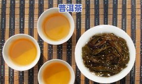 普洱茶能跟冬瓜茶一起泡吗？功效与禁忌全解析