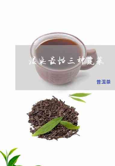 冬瓜普洱茶的作用是什么-冬瓜普洱茶的作用是什么呢