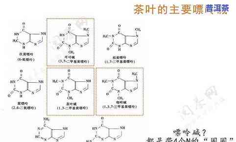 茶叶冷藏多少度更好？作用口感、保存的关键因素解析