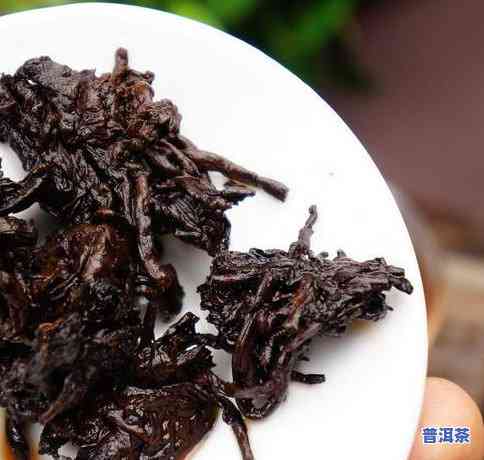 古树牌冰岛普洱茶价格表-古树冰岛普洱生茶2018价格表