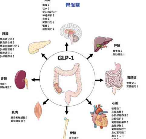 胆囊炎能喝茶吗？影响因素有哪些？