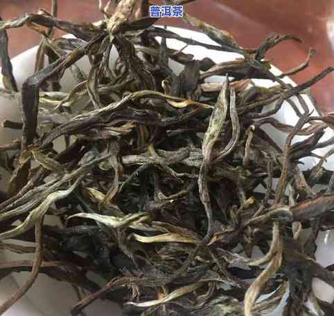 探索易武普洱茶的独特口感及其特点