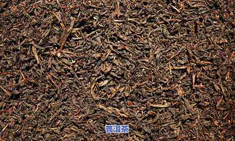 天和茶业：老枞小种怎么样？官网了解一下